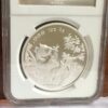 1995 silver panda micro date coin